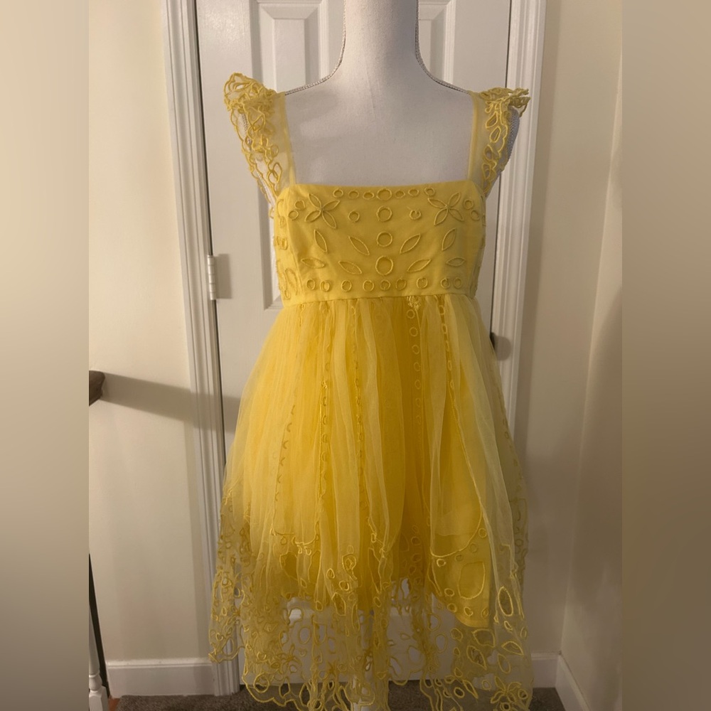 Anthropologie Let Me Be Eyelet Tulle Mini Dress NWT! - Picture 9 of 16